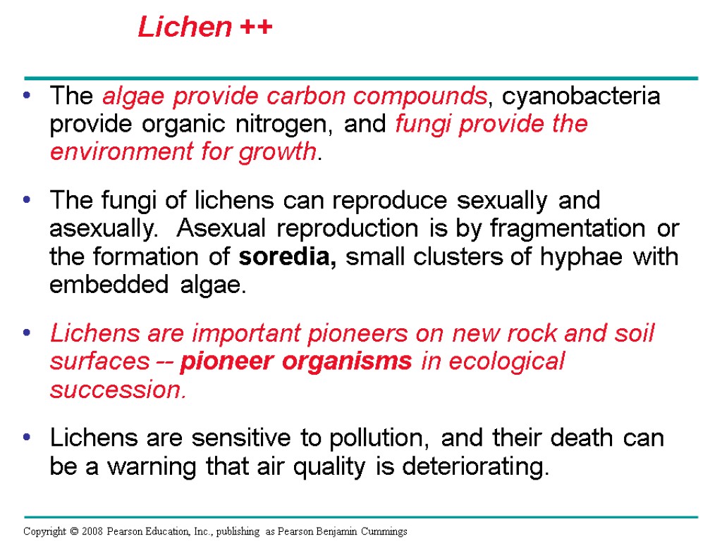 The algae provide carbon compounds, cyanobacteria provide organic nitrogen, and fungi provide the environment